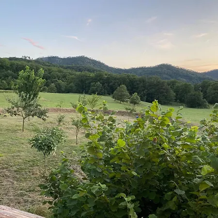 Country house Borgo Tassani *